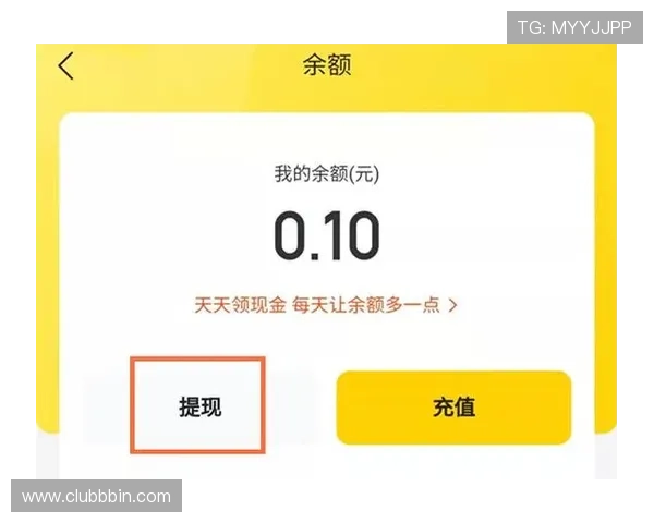 bbin官方版app登录后如何快速充值和提现完整流程及注意事项详尽说明